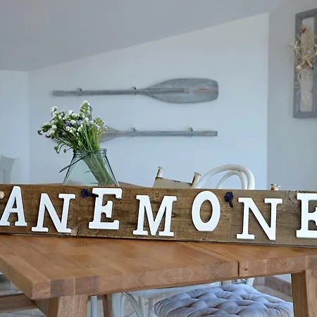 Anemone 4* 산타마리아나바레제